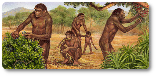 chasseurs cueilleurs